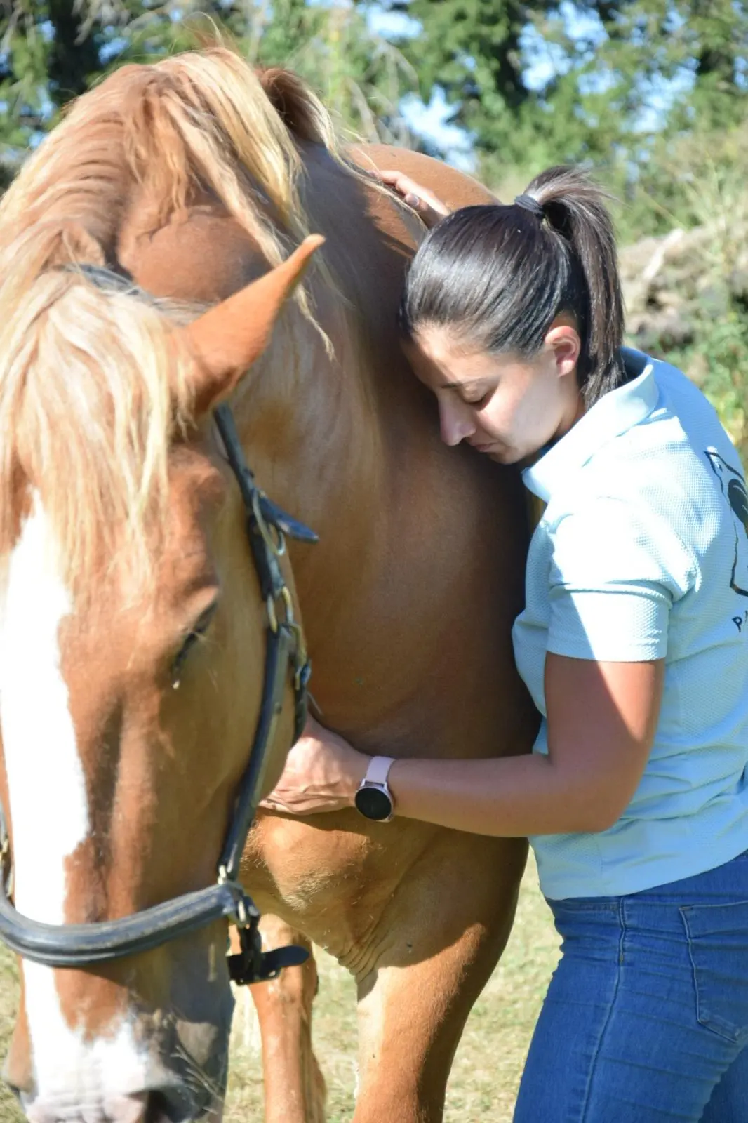Pauline Rouquette masseur équin et canin avec un cheval
