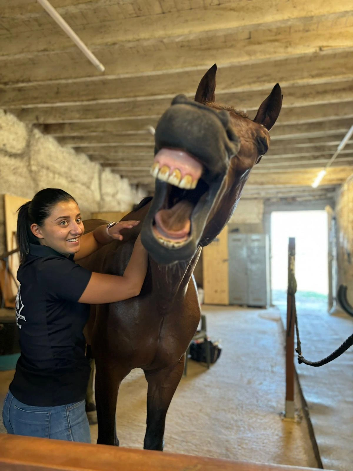 Pauline Rouquette masseur équin et canin avec un cheval
