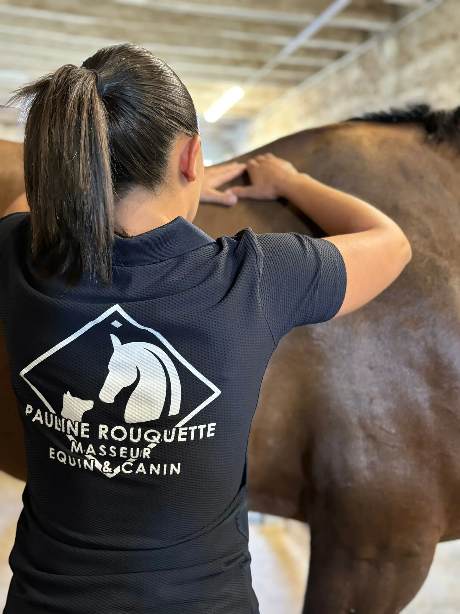 Pauline Rouquette masseur équin et canin avec un cheval